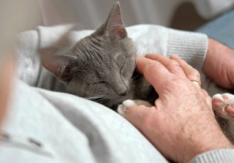 A veteran gently petting a sleeping kitten, symbolizing the emotional support and calming effects pets have during mental health recovery at Solara Mental Health.
