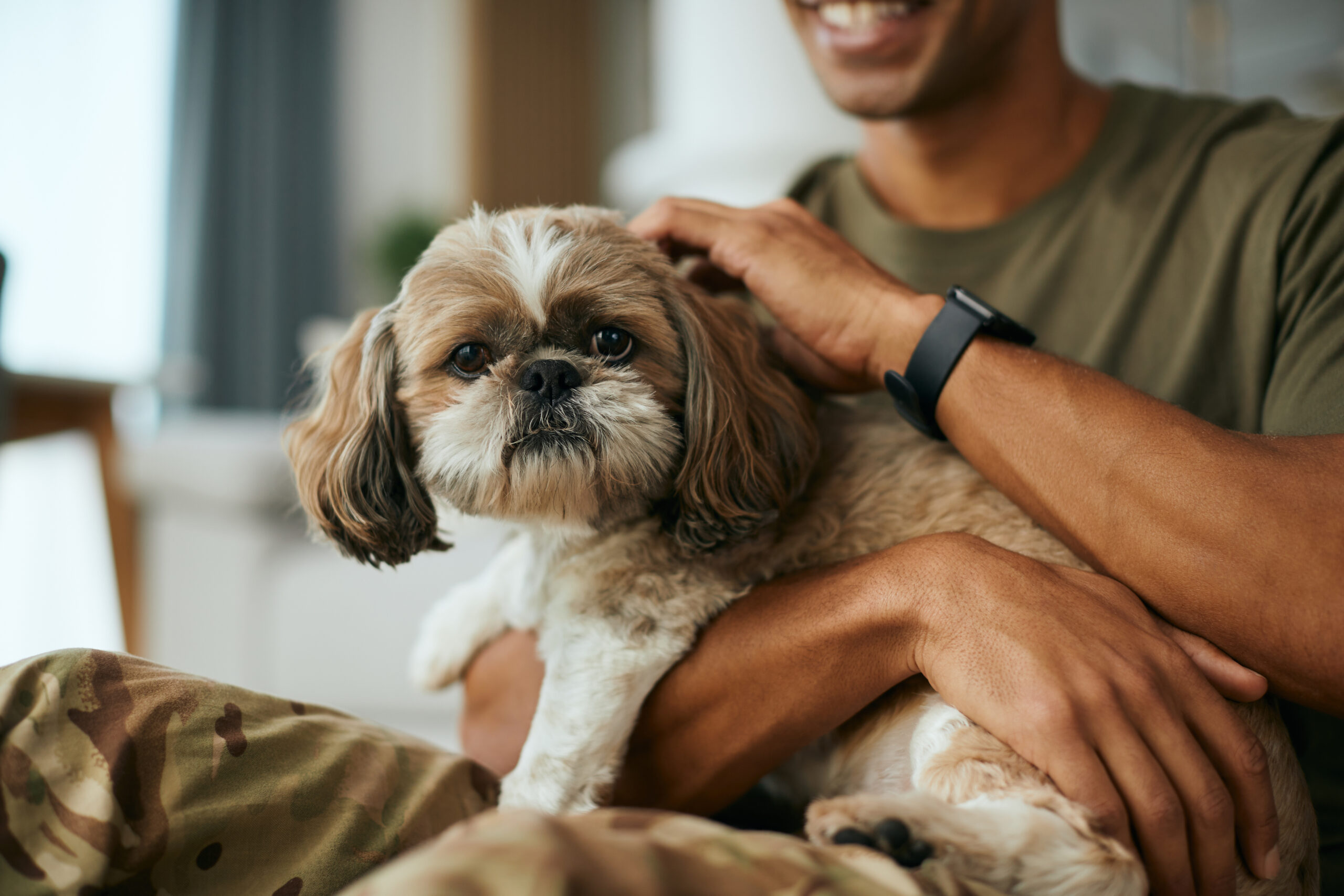 A veteran in uniform holding a small dog, representing the role of emotional support animals in providing comfort to veterans undergoing treatment at Solara.